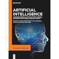 Artificial Intelligence: Machine Learning, Convolutional Neural Networks and Large Language Models (Intelligent Computing)