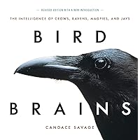 Bird Brains: The Intelligence of Crows, Ravens, Magpies, and Jays Bird Brains: The Intelligence of Crows, Ravens, Magpies, and Jays Paperback Hardcover