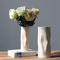 Ceramic Vase Set of 2, 10.7