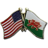 AES Wholesale Pack of 50 USA American & Wales Country Flag Bike Hat Cap Lapel Pin