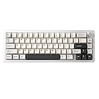 YUNZII AL66 Wireless Mechanical Keyboard,65% Knob Control Aluminum Gaming Keyboard Bluetooth/2.4G/Wired Hot-Swap Pre-lubed Switches,Gasket Mounted RGB Keyboard for Win/Mac（Milk Switch, Silver）