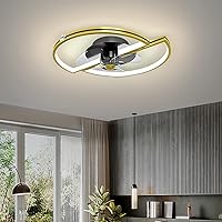 Fans, Ceilifans Withps Silent Ceilifan with Lighticeilifan with Lights for Liviroom Silent Fan Ceililight with Remote Modern Lounge Timer/D
