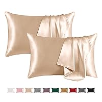 THXSILK Set of 2 100% Mulberry Silk Pillowcases for Hair and Skin Health, 19 Momme Soft and Smooth Pillowcases with Hidden Zipper, Both Sides Premium Grade 6A+ Silk (Standard 20
