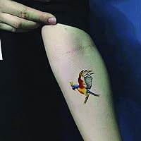 Parrot Birds Temporary Tattoos Pattern Body Art Transfer Tattoos Sticker for Women 5 Sheets