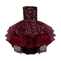 2 to 10Y Girls Soft Skirt Kids Sleeveless Floral Mesh Tutu Dress Prom Party Skirts Tulle Bow Dresses