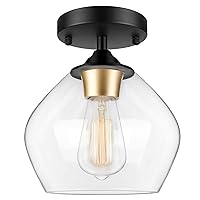 Modern Semi Flush Mount Ceiling Light with Clear Glass Shade, Industrial Close to Ceiling Light, Black Hanging Ceiling Light Fixture for Hallway, Bedroom, Dining Room, Entryway, Foyer