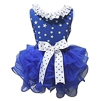 Petitebella Patriotic Stars Shirt White Blue Petal Skirt Set Nb-8y
