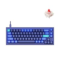 Keychron Q2 Wired Custom Mechanical Keyboard, QMK/VIA Programmable Macro, Full Aluminum, Hot-Swappable Gateron G Pro Red Switch, 65% Layout Double Gasket Compatible with Mac and Windows - Blue