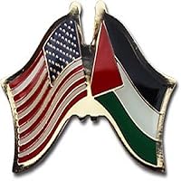 NRAccessories Wholesale Pack of 50 USA American Palestine Flag Hat Cap lapel Pin