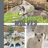 Toddler Books About Wolves: Wordless Picture Books for Toddlers with Real Pictures: Wolf Book for Toddlers and Preschoolers: Picture Book with Real Photos Toddler Books About Wolves: Wordless Picture Books for Toddlers with Real Pictures: Wolf Book for Toddlers and Preschoolers: Picture Book with Real Photos Paperback