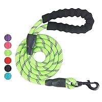 5 FT Beautifully Dog Leash with Comfortable Padded Handle and Highly Reflective Threads Dog Leashes for Medium and Large Dogs