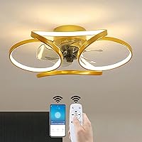 Ceiling Fan with Lighting Led Light, Modern Ceiling Lights, Dimmable with Remote Control and App, Dimming Ceiling Lamp with Fan for Living Room Bedroom Office/D/45Cm / 45W