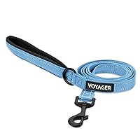 Voyager Reflective Dog Leash with Neoprene Handle, 6ft Long, Supports Small, Medium, and Large Breed Puppies, Cute and Heavy Duty for Walking, Running, and Training - Baby Blue, L