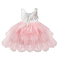 Summer Baby Girls First Birthday Princess Dress Lace Tulle Layer Tutu Skirts Flower Dress for Girls Girl Kids