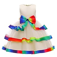 Floral Long Sleeve Dress Toddler Pageant Dress Birthday Party Kids Rainbow Costume Gown Princess Toddler Ballet Dress