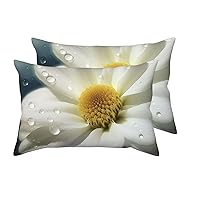 2 Pack Queen Size Pillow Cases with Envelope Closure White Flower Picture Pillow Cover 20x30 Inches Soft Breathable Pillowcase for Hair and Skin, Sleeping Gift