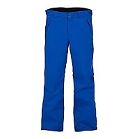 Spyder Active Sports Men's Mesa GORE-TEX Ski Pant