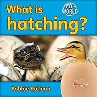 What Is Hatching? (My World - Grl E) What Is Hatching? (My World - Grl E) Paperback Hardcover