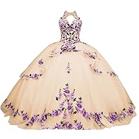 2024 Unique Keyhole Neck Back Lilac 3D Floral Flowers Lace Ball Gown Quinceanera Prom Formal Dresses Halter