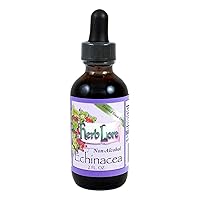 Echinacea Tincture 2 fl oz - Alcohol Free Echinacea Drops - Liquid Immune Support for Kids & Adults * - Echinacea Augustifolia & Echinacea Purpurea Extract