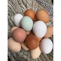 40 Fertile Chicken Eggs, Mixed Breed