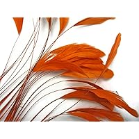 Moonlight Feather | 1 Dozen - Orange Stripped Coque Tail Feathers Wholesale Craft Supplier Costume