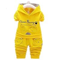 Baby Boys Clothes Bear Long Sleeve Hoodie Tops Sweatsuit Pants with Porket Outfit Set