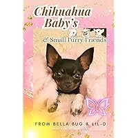 Chi Baby’s & Super Small Furry Friends: An Easy-peasy read to engage the whole family, info you must know when considering a furry friend