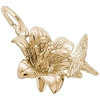 Rembrandt Charms Humming Bird Charm, 10K Yellow Gold