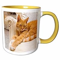 3dRose Happy orange tabby cat relaxing on fancy armchair, Yellow Mug, 11 oz