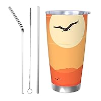 20oz Tumbler with Lid Flying in the Sky Insulated Tumbler Stainless Steel Insulated Cups Vacuum Insulated Coffee Ice Cup Double Wall Car Travel Mug for Car Office Desk Home