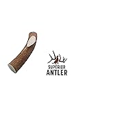 1-X Large Antler, Whole, Single Pack - XL All Natural Premium Grade A. Antler Chew. Naturally Shed, Made in The USA. Guaranteed Satisfaction