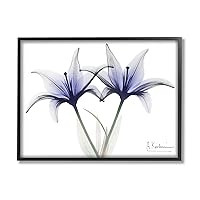 X-Ray Lily Flowers Framed Giclee Art by Albert Koetsier