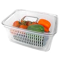 Home Basics Fruit and Vegetable Fridge Storage Container Large Produce Saver with Lid and Removable Colander