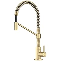 KRAUS Bolden Single Handle Drinking Water Filter Faucet for Reverse Osmosis or Water Filtration System in Brushed Brass, FF-104BB