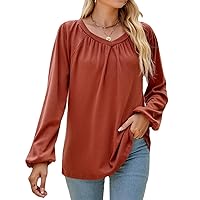 Womens Casual V Neck Tunic Pleated Long Sleeve T-Shirts Pullover Tops