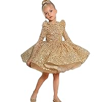 Elegant Baby Girl Long Sleeve Sequin Princess Dress Girl Toddler Formal Dresses Round Neck A-Line Girl Pageant Dress