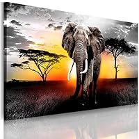 CANWALLS ART Animal Wall Art Pictures for Living Room Decor Walking Elephant Paintings on Canvas 20x40 Inch Stretched Artwork Bedroom Wall Decorations