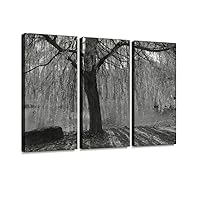 Backlight Between The Branches of a Weeping Willow in The Park with a Print On Canvas Wall Artwork Modern Photography Home Decor Unique Pattern Stretched and Framed 3 Piece