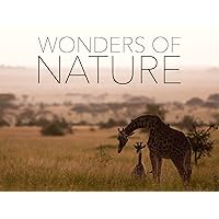 Wonders of Nature