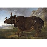 Clara The Rhinoceros Circa 1749 : Art Giclee Print