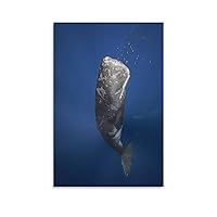 Underwater Beautiful Sperm Whale Room Aesthetics Posters Canvas Posters Bedroom Decoration Sports Office Decoration Gifts Wall Art Decoration Printing Posters 20x30inchs(50x75cm)