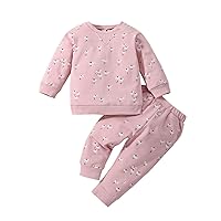 Baby Girl Clothing Kid Floral Print Soft Warm 2PCS Set Outfits Toddler Long Sleeve Crewneck Blouse and Trousers