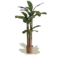 Maia Shop Artificial Banana Tree 6FT Tall, Fake Plant with Realistic Leaves and Trunks, Faux Silk Plant Made with The Best Materials, Artificial Plant for Home Decor Indoor, Tropical Decor, 71 inches
