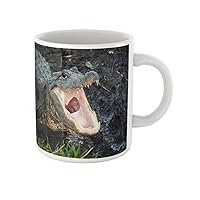 Coffee Mug Pink Gator Alligator Open Wide at Everglades National Park 11 Oz Ceramic Tea Cup Mugs Best Gift Or Souvenir For Family Friends Coworkers