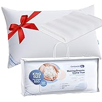 Luxury Down Pillow Set for Valentines Day: King Size Pack of 1 Firm Pillow + Queen Size Pillow Protector - Family Made in New York - 550FP Firm