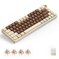 R68 TKL Mechanical Keyboard, Upgraded TTC Gold Pink Switches, Hot Swappable Wired/Bluetooth 5.0/2.4G Wireless Keyboard with RGB Light for Windows & Mac, PBT Keycaps, Lava Brown