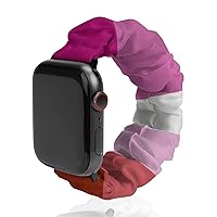 Lesbian Pride Flag Watch Band Compitable with Apple Watch Elastic Strap Sport Wristbands for Women Men