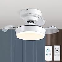 Low Profile Ceiling Fan with Lights, 24