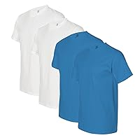 Fruit of the Loom mens 5 oz. 100% Heavy Cotton HD T-Shirt (3931) PACIFIC BLUE/WHITE-2PK